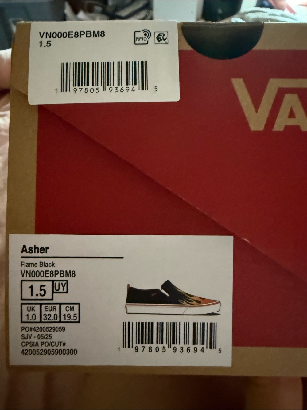 Vans Asher Slip-On Sneakers in Black with Flame Graphic